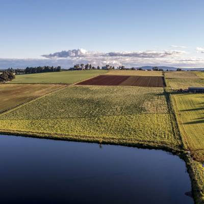 Menlo Fields191121103