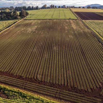 Menlo Fields191121108