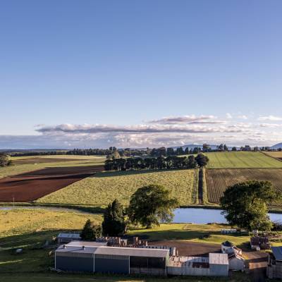 Menlo Fields191121113