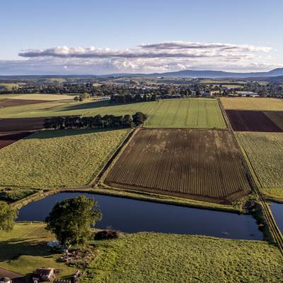 Menlo Fields191121118