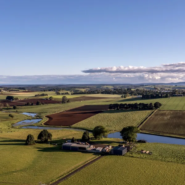 Menlo Fields191121119
