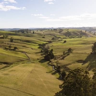 Brid River Valley in Scottsdale Behind Menlo Fields