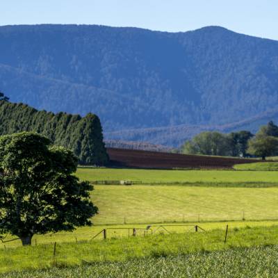 Menlo Fields191121239